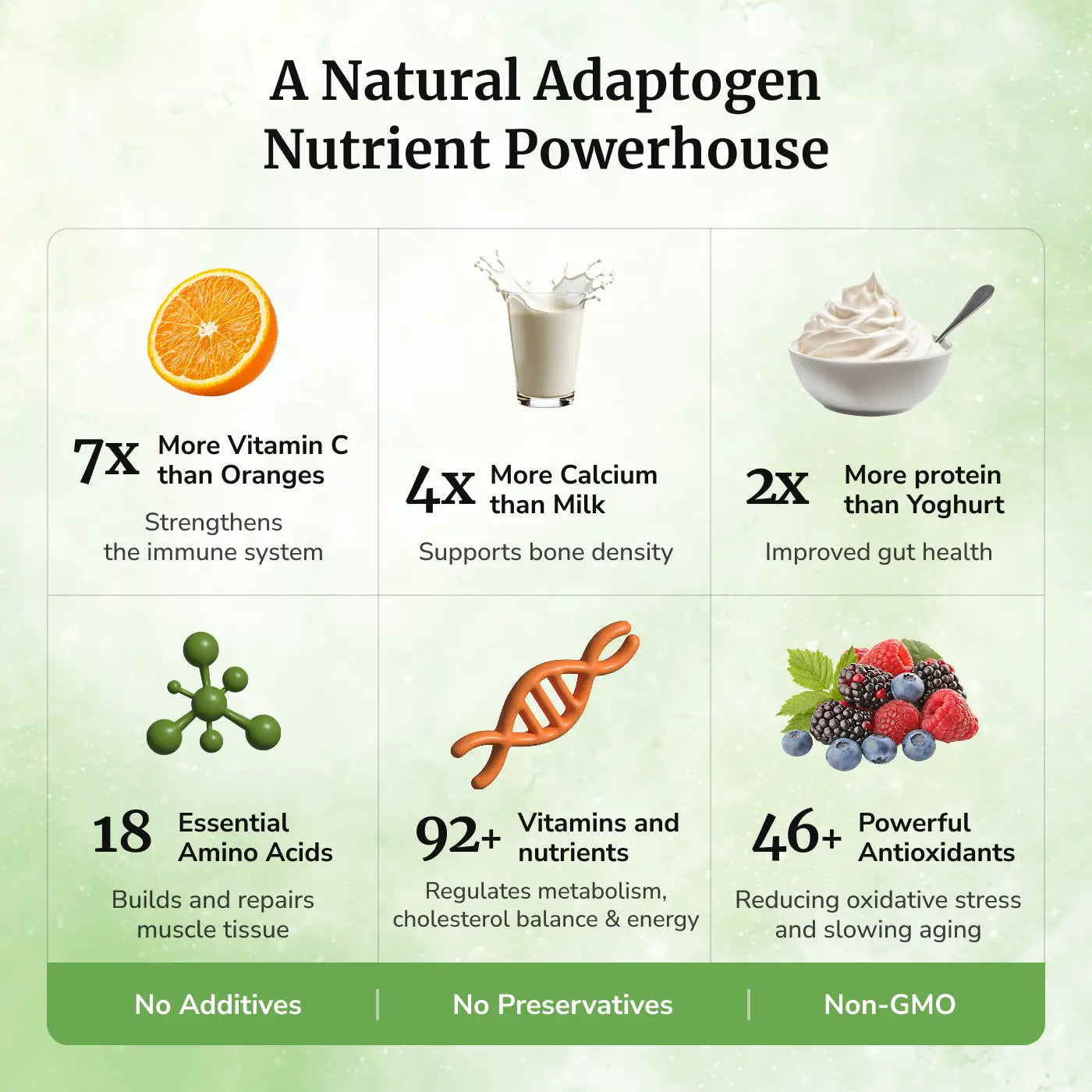 Moringa Capsules Herbal