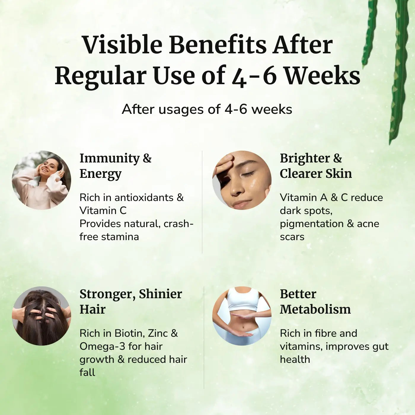 Moringa Capsules Herbal